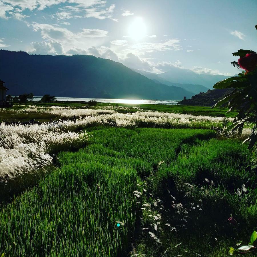 Bishnu Homestay Pokhara Buitenkant foto